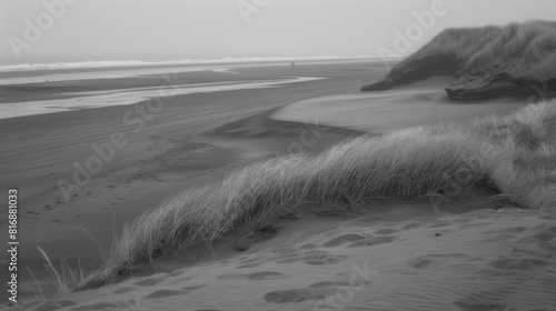 A serene black and white photograph capturing the calm and extensive expanse of a misty beach with gently curving sandy dunes and sparse vegetation