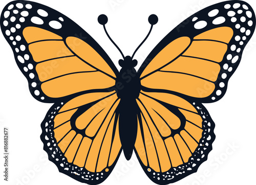 Monarch butterfly vector illustration isolated on a white background