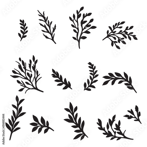 set of silhouettes of  leaves  on white