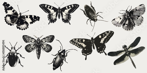 Butterfly, beetle, caterpillar, dragonfly with a photocopy effect. Y2K style grit. Retro texture for décor, collages of posters, banners, prints. 