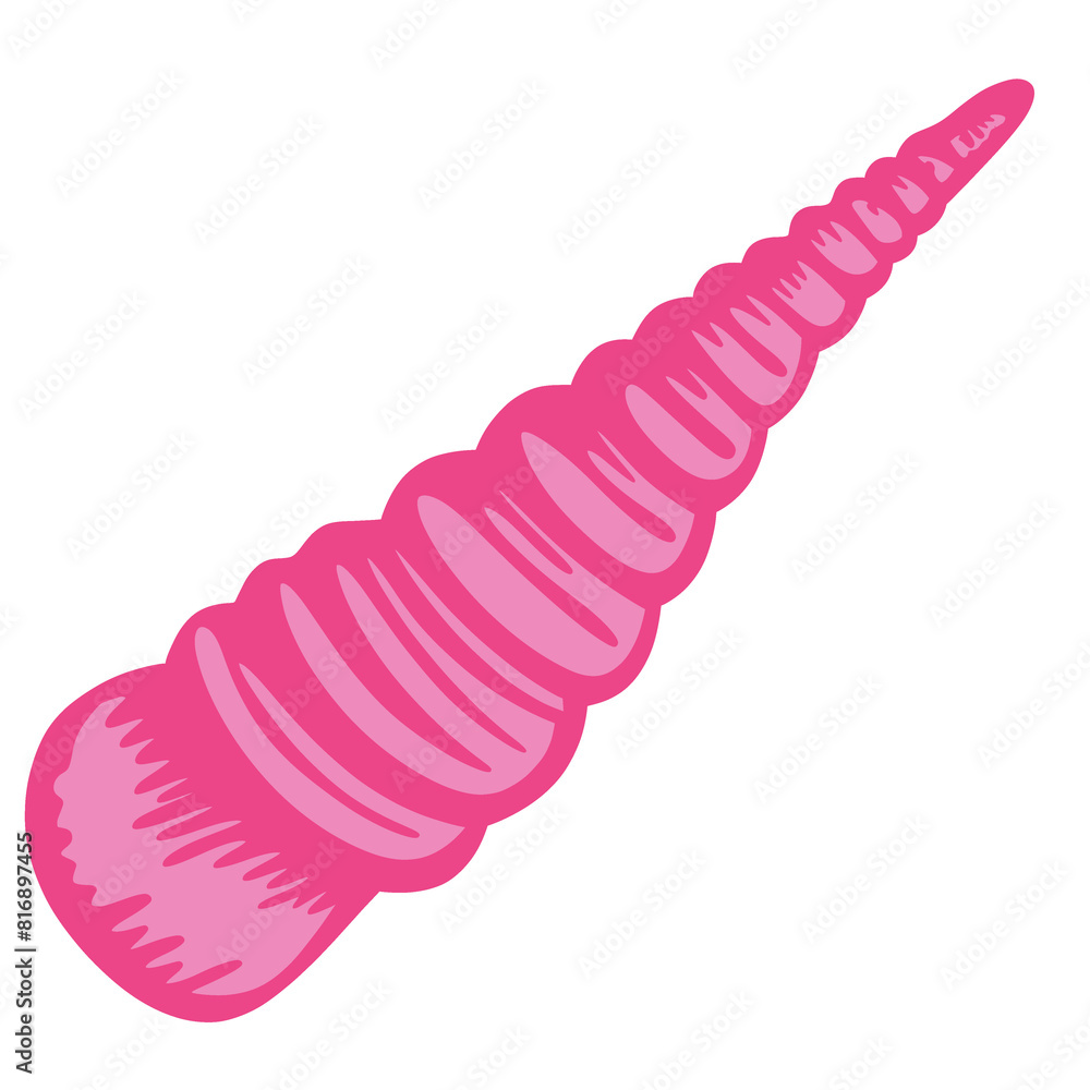 Obraz premium Seashells hand drawn