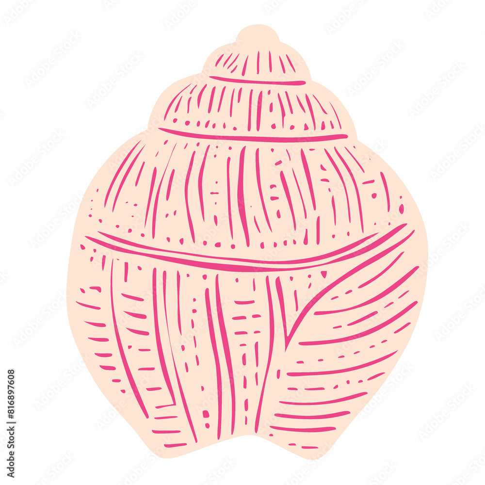 Seashells hand drawn Seashells hand drawn