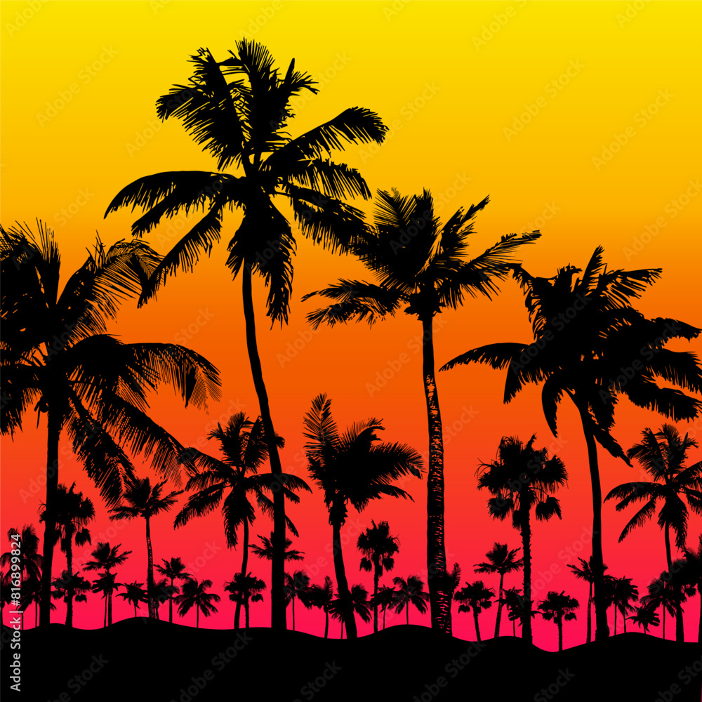 Tropical background, palm trees black silhouettes on gradient background, vector illustration.