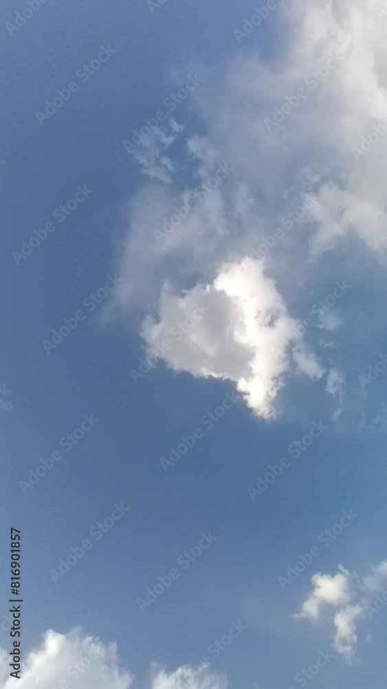 Flock of birds flying in clear and blue sky. symbol of freedom
Flock of birds flying in clear and blue sky. symbol of freedom