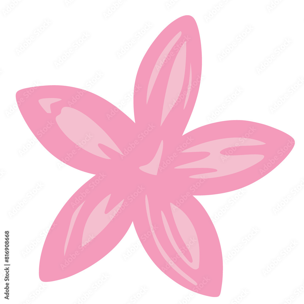 Plumeria flower Plumeria flower