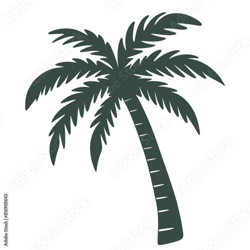  Palm tree