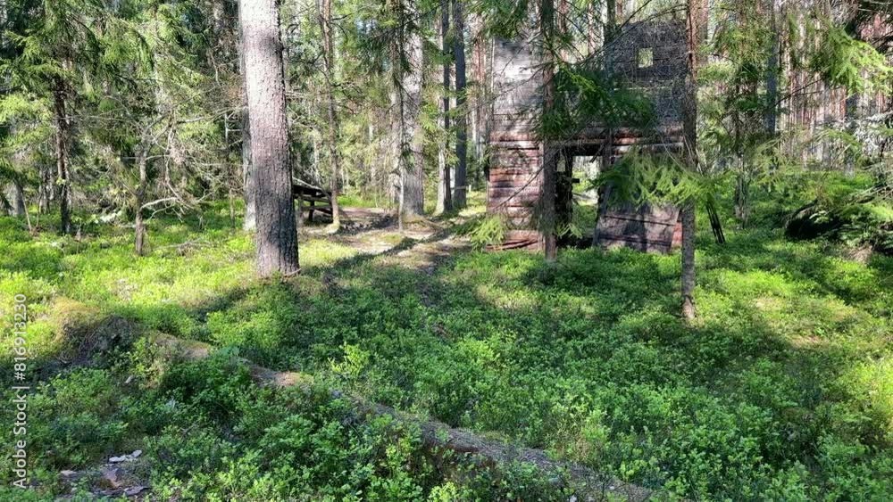 Forest home for hunting. Feeding trough for wild animals. Pine trees in forest. Coniferous forest with spruce trees. Hiking in forest on hunting. Survival and travel in wildlife. Feeding Wildlife. Forest home for hunting. Feeding trough for wild animals. Pine trees in forest. Coniferous forest with spruce trees. Hiking in forest on hunting. Survival and travel in wildlife. Feeding Wildlife.