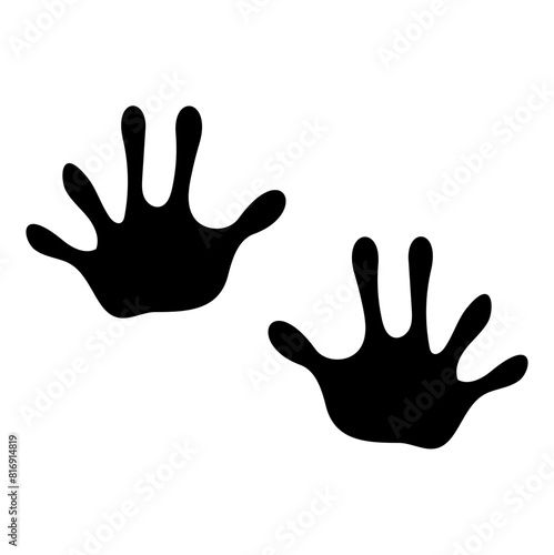 flat Opossum footprints vector 