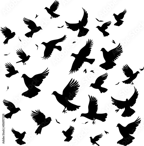 Set of birds vector icons scattered on transparent background.