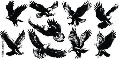 Set of bald eagle silhouette, vector illustration.