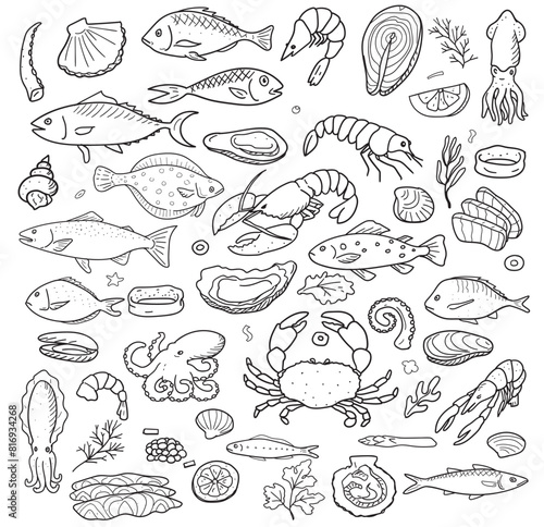 sea food cartoon wallpaper vector draw free hand