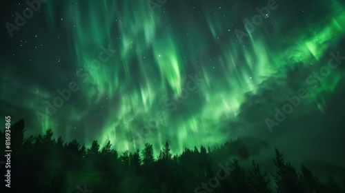 Night sky with aurora borealis over a forest