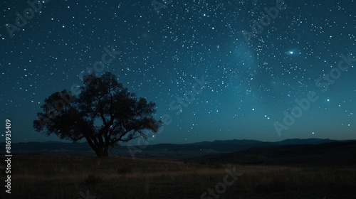 Night sky with stars and a tree silhouette