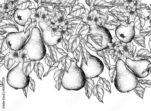 Seamless horizontal vector pattern of blossoming branch with pear fruits in engraving style