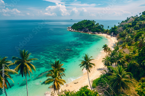 Sandy beach in Thailand. Palm trees  sea  sand. Bird s eye view.