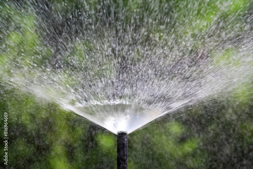 Sprinkler head watering bush and grass in garden. photo