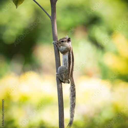 Wildlife Photography Expedition