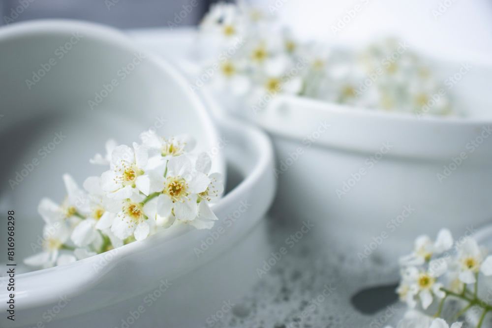 White dishes are filled with water and foam. Close-up of flowers on wet dishes. Place for text. Chamomiles in foam White dishes are filled with water and foam. Close-up of flowers on wet dishes. Place for text. Chamomiles in foam