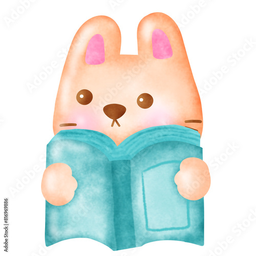 Bunny read a  book.