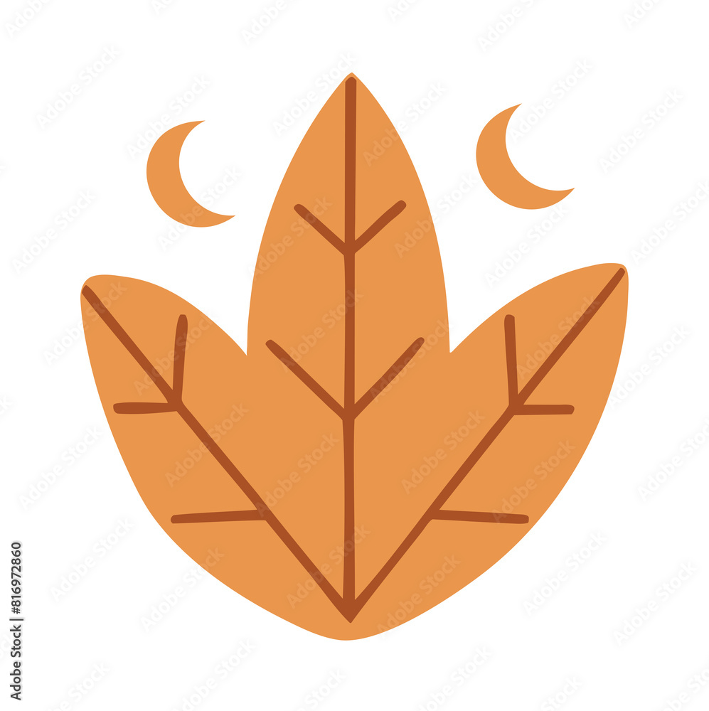 leaves, branches ,floral boho doodle element leaves, branches ,floral boho doodle element