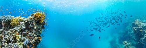 Panel kuchenny z motywem Underwater Tropical Corals Reef with colorful sea fish. Marine life sea world. Tropical colourful underwater seascape.