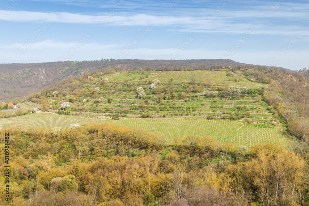 View of Sobes vineyard tracks from Lookout of Nine Mills in Podyji National Park, near Znojmo town in South Moravia region, Czech Republic, Europe.