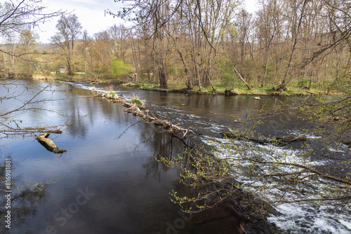 Dyje River in Podyji National Park near Znojmo town in the South Moravian Region of the Czech Republic, Europe.