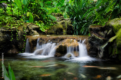 Small Waterfall in the forest