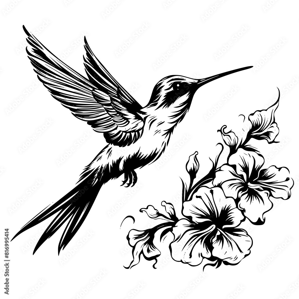 Fototapeta premium Bee Hummingbird 