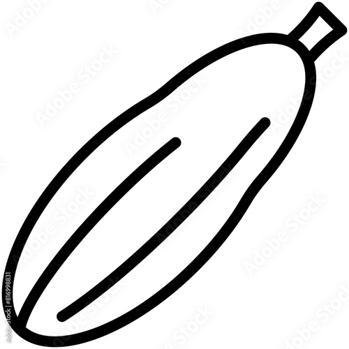 zucchini line icon