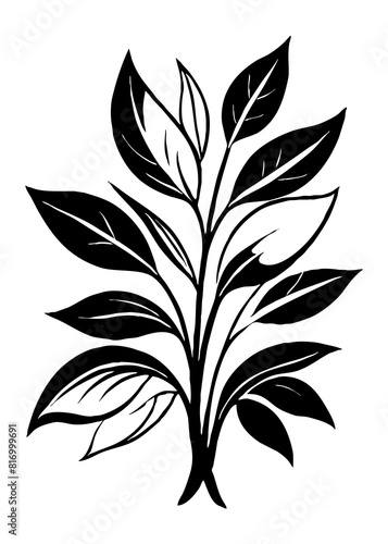 Botanical black and white pattern. Abstract plant shapes. Minimalist illustration for printing on wall decorations, for use in graphics, for tattoos. Generated by Ai © Wioletta