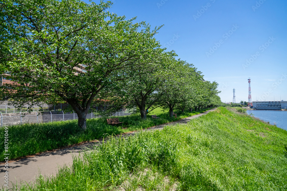 Obraz premium 川岸の風景