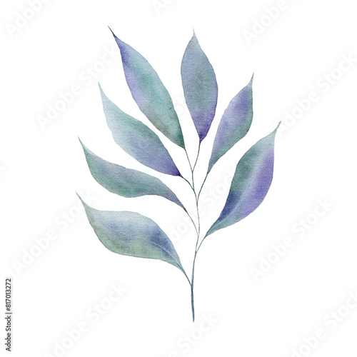 A set of decorative abstract watercolor leaves and berries for your stationery such as postcard, notebook, calendar or site design.