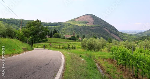 Paesaggio collinare dei vigneti sui Colli Euganei Veneti photo