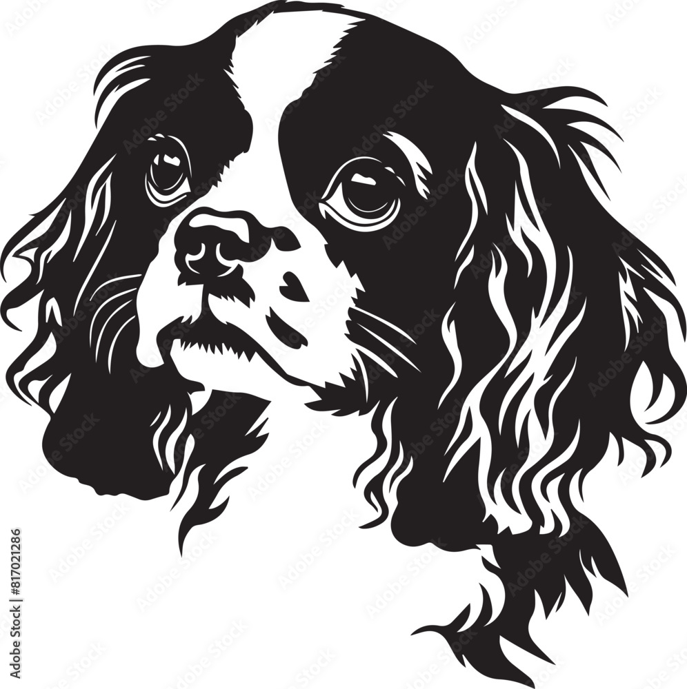 cavalier king charles spaniel portrait cavalier king charles spaniel portrait