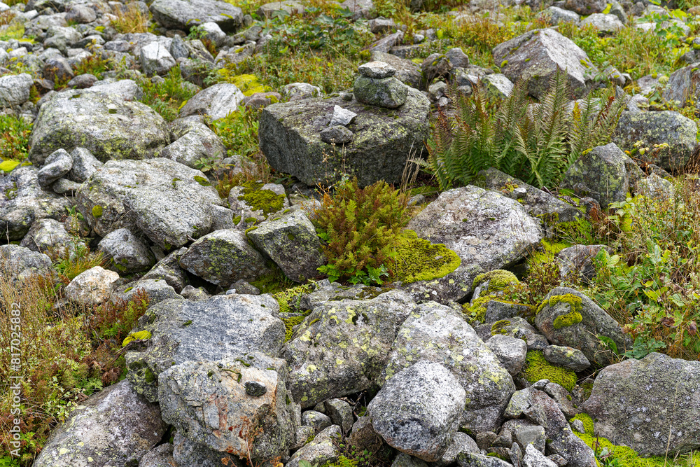 Scenic view of alpine landscape at hiking trail with debris at Swiss mountain pass Grimsel on a cloudy late summer day. Photo taken September 19th, 2023, Grimsel, Canton Bern, Switzerland. Scenic view of alpine landscape at hiking trail with debris at Swiss mountain pass Grimsel on a cloudy late summer day. Photo taken September 19th, 2023, Grimsel, Canton Bern, Switzerland.
