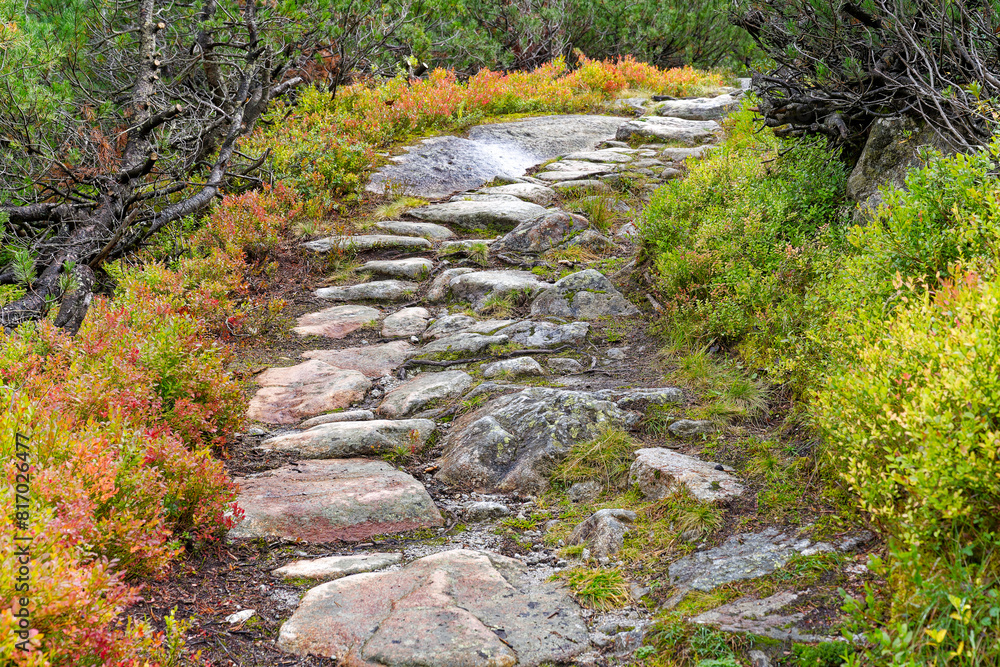 Scenic view of alpine landscape at hiking trail at Swiss mountain pass Grimsel on a cloudy late summer day. Photo taken September 19th, 2023, Grimsel, Canton Bern, Switzerland. Scenic view of alpine landscape at hiking trail at Swiss mountain pass Grimsel on a cloudy late summer day. Photo taken September 19th, 2023, Grimsel, Canton Bern, Switzerland.