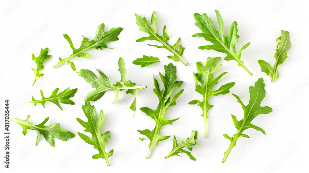 Obraz premium fresh green parsley on white background, isolated