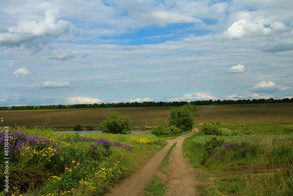 Fototapeta premium A dirt road through a field