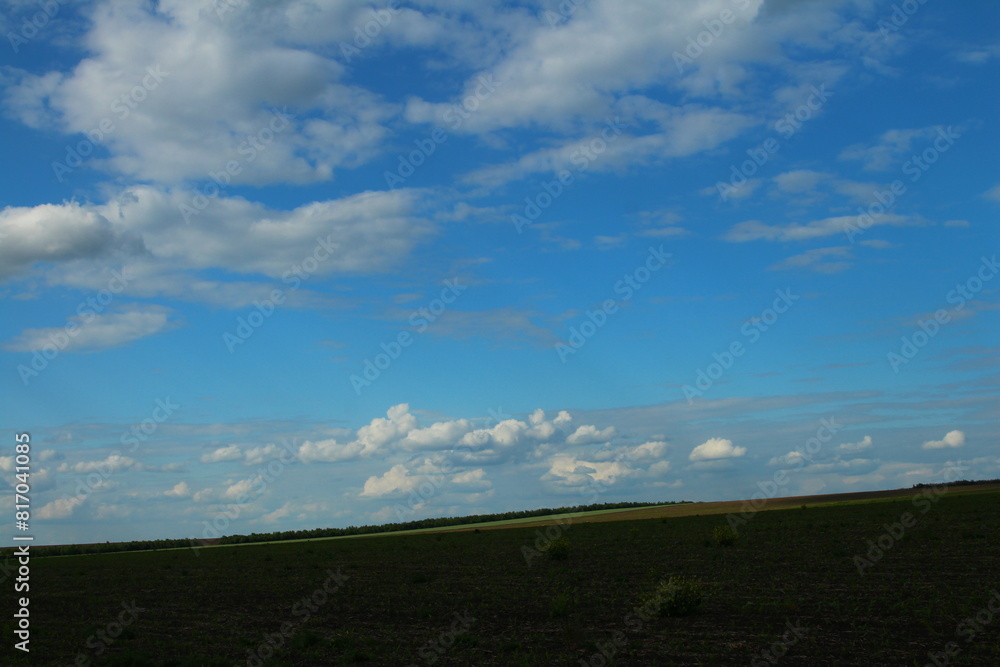 A field with a blue sky A field with a blue sky