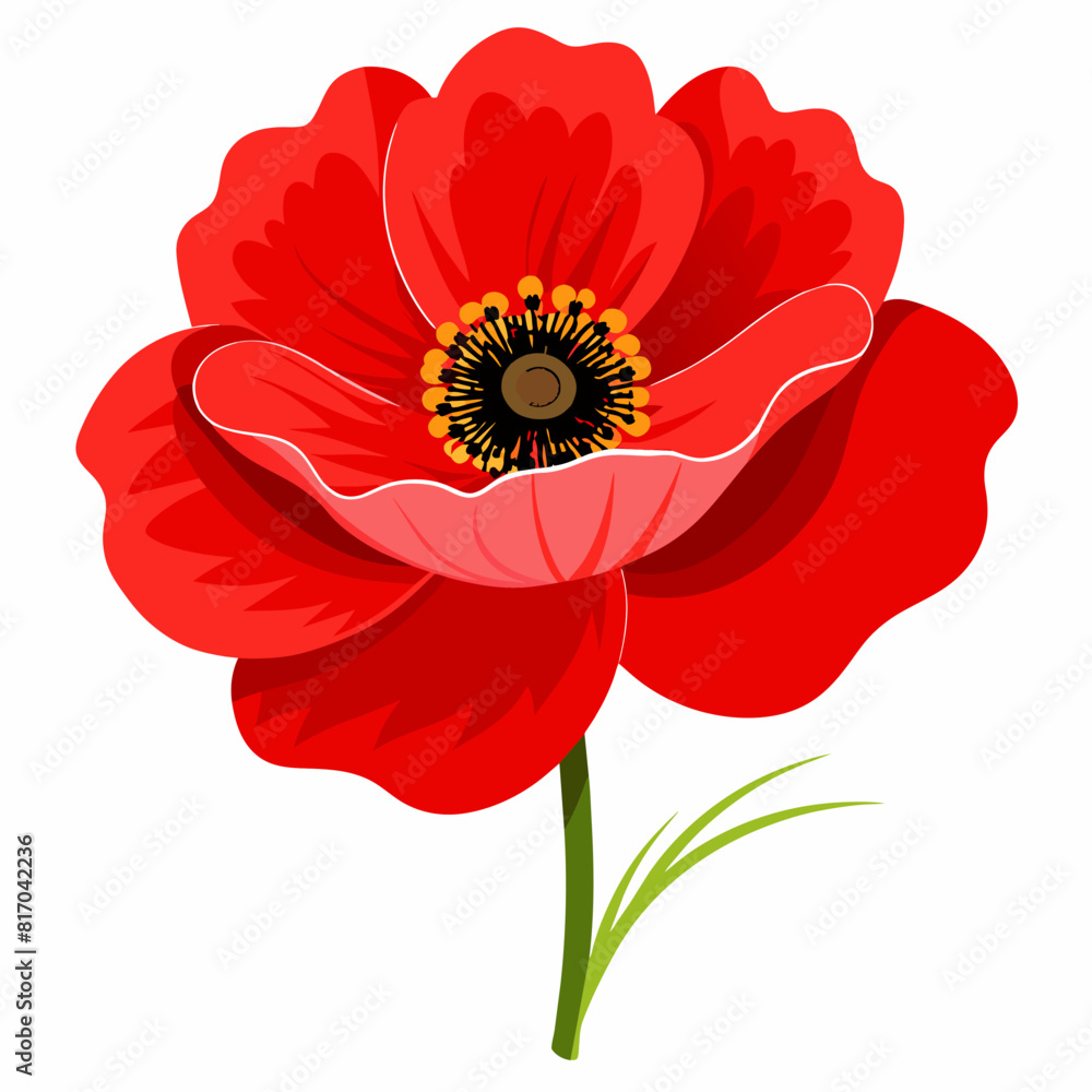 Bright red poppy flower vector illustration Bright red poppy flower vector illustration