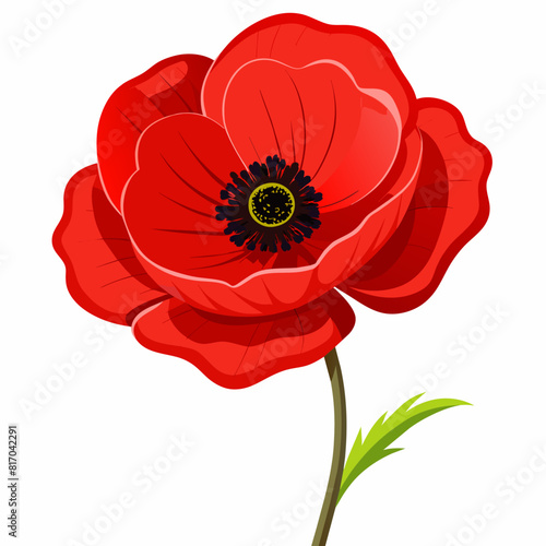 Bright red poppy flower vector illustration 