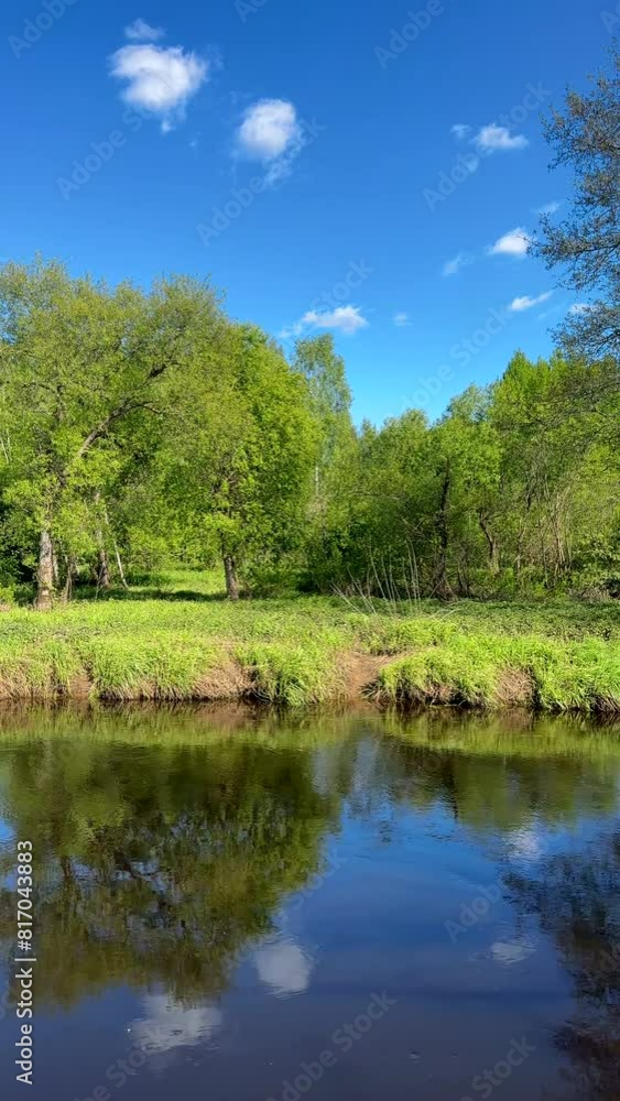 River in forest, wild scenery. Water supply. Small river in forest. Wildlife Refuge Wetland Restoration. Green Nature Scenery. Zigzag River in Wildlife. Freshwater Ecosystem. Forest Landscape River in forest, wild scenery. Water supply. Small river in forest. Wildlife Refuge Wetland Restoration. Green Nature Scenery. Zigzag River in Wildlife. Freshwater Ecosystem. Forest Landscape