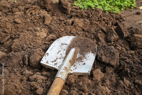 Brown soil ground texture with shovel on garden bed in farm garden close up. Organic farming, gardening, growing, agriculture