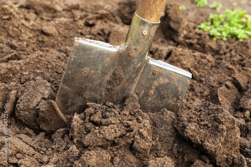 Shovel close up macro in brown soil ground in garden. Organic farming, gardening, growing, agriculture concept