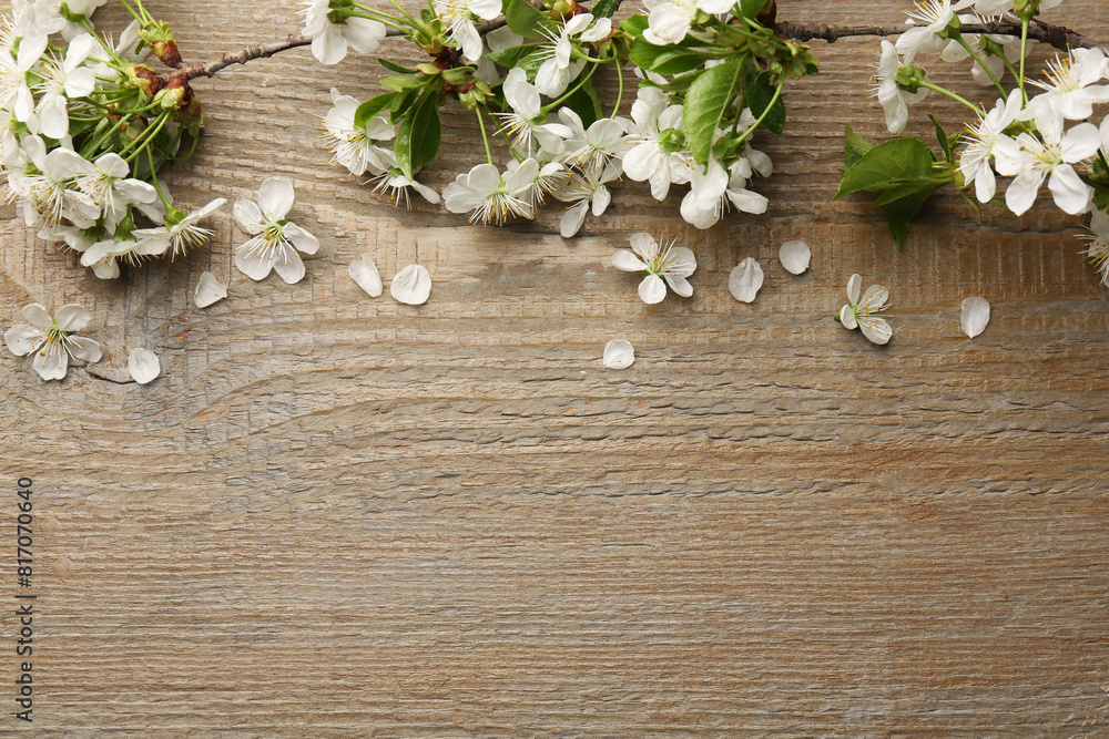 Spring branches with beautiful blossoms, leaves and petals on wooden table, flat lay. Space for text Spring branches with beautiful blossoms, leaves and petals on wooden table, flat lay. Space for text