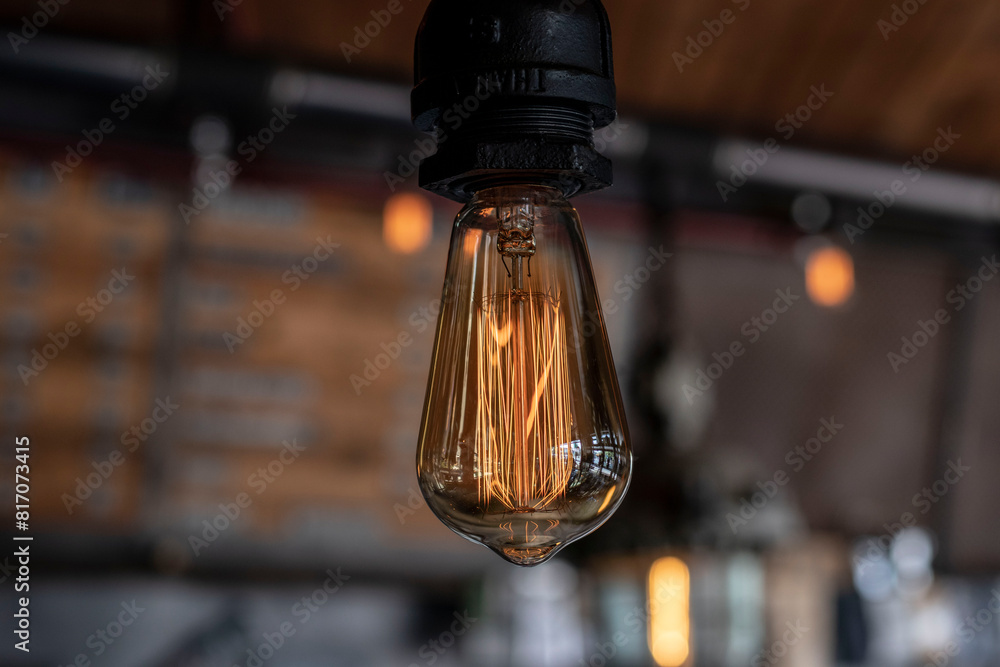Obraz premium vintage style light bulb