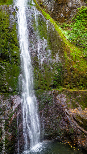 waterfall in the forest