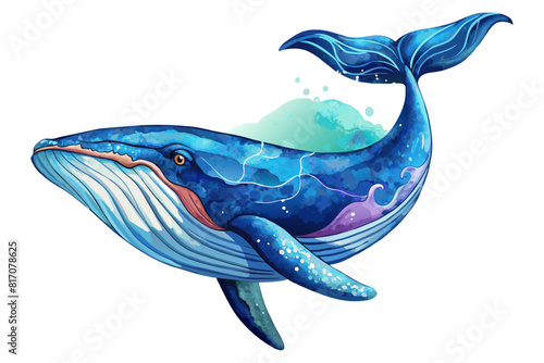 blue whale swimming on a white background Watercolor style illustrations
