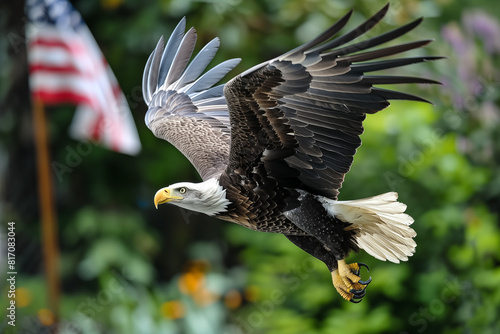 American Bald Eagle in flight, US flag on a pole in the background. National emblem of the United States. America veterans day or Independance day symbol
